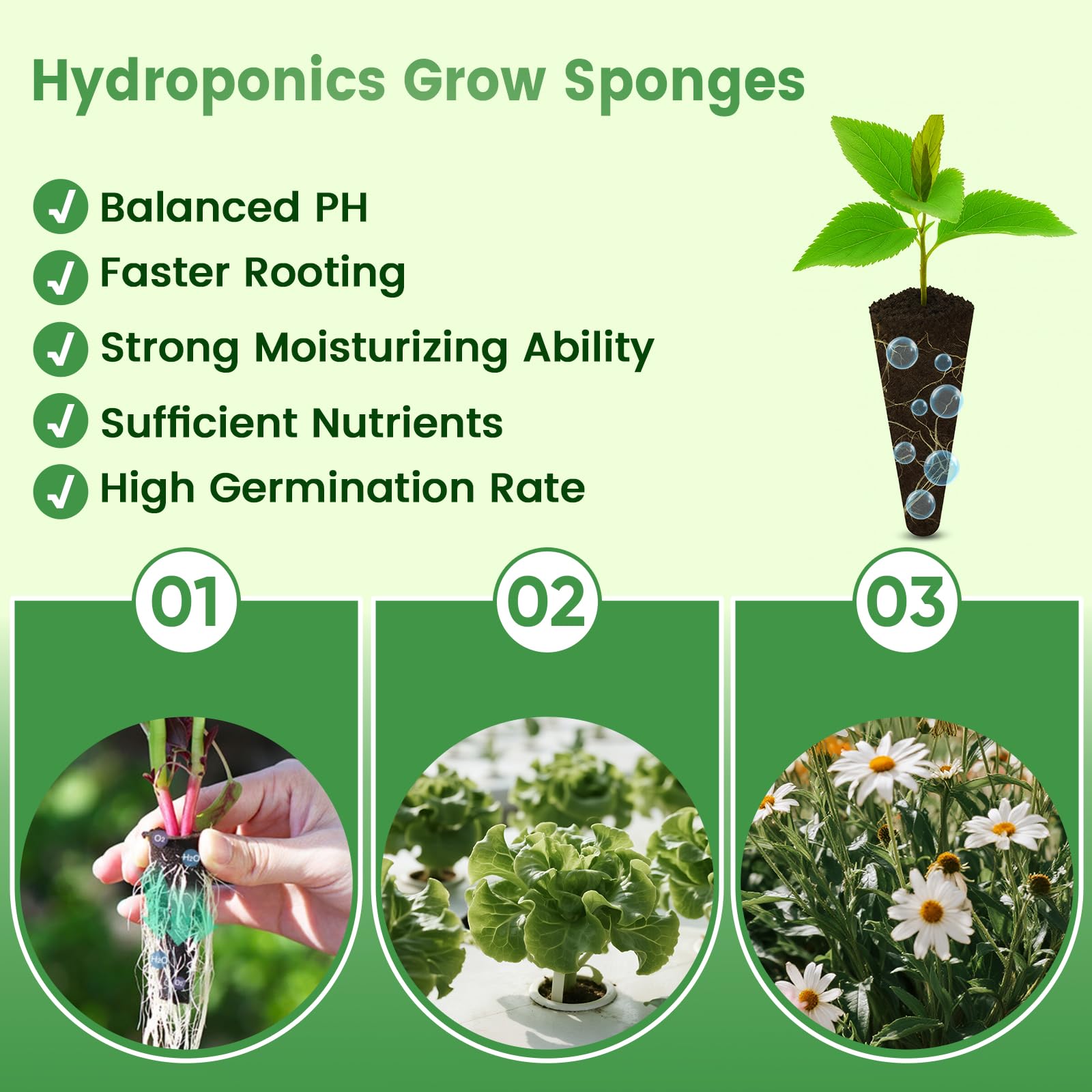 PlantaPulse esponja instalada en sistema AeroGarden compatible y práctica