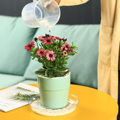 Planterhoma etiqueta del material plástico resistente para uso doméstico