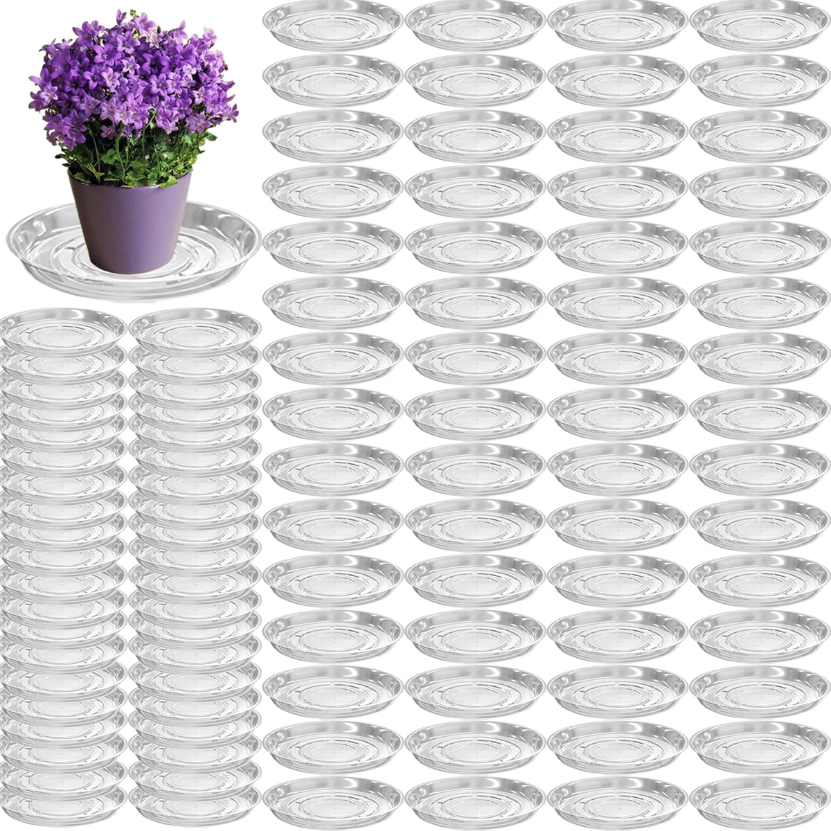 Planterhoma plato frontal muestra diseño y beneficio protectivo