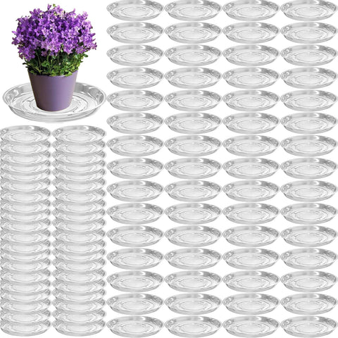 Planterhoma plato frontal muestra diseño y beneficio protectivo