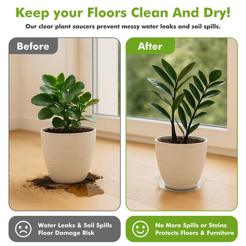 Planterhoma pack de 20 platos embalados ideal para jardinería y reposición