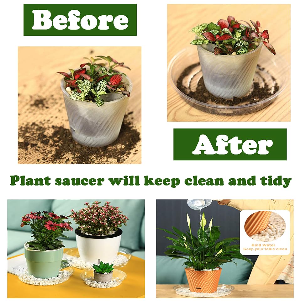 Planterhoma platillo bajo maceta en salón protege suelos y muebles