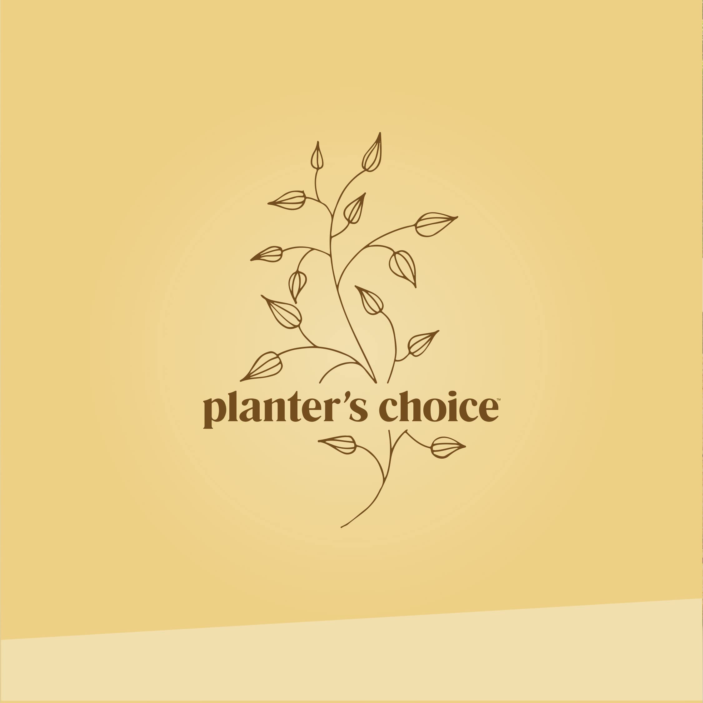 Planters' Choice comparativa de escala con mano para tamaño de las macetas