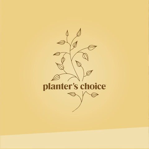 Planters' Choice comparativa de escala con mano para tamaño de las macetas