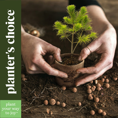 Planters' Choice folleto impreso con instrucciones paso a paso para principiantes