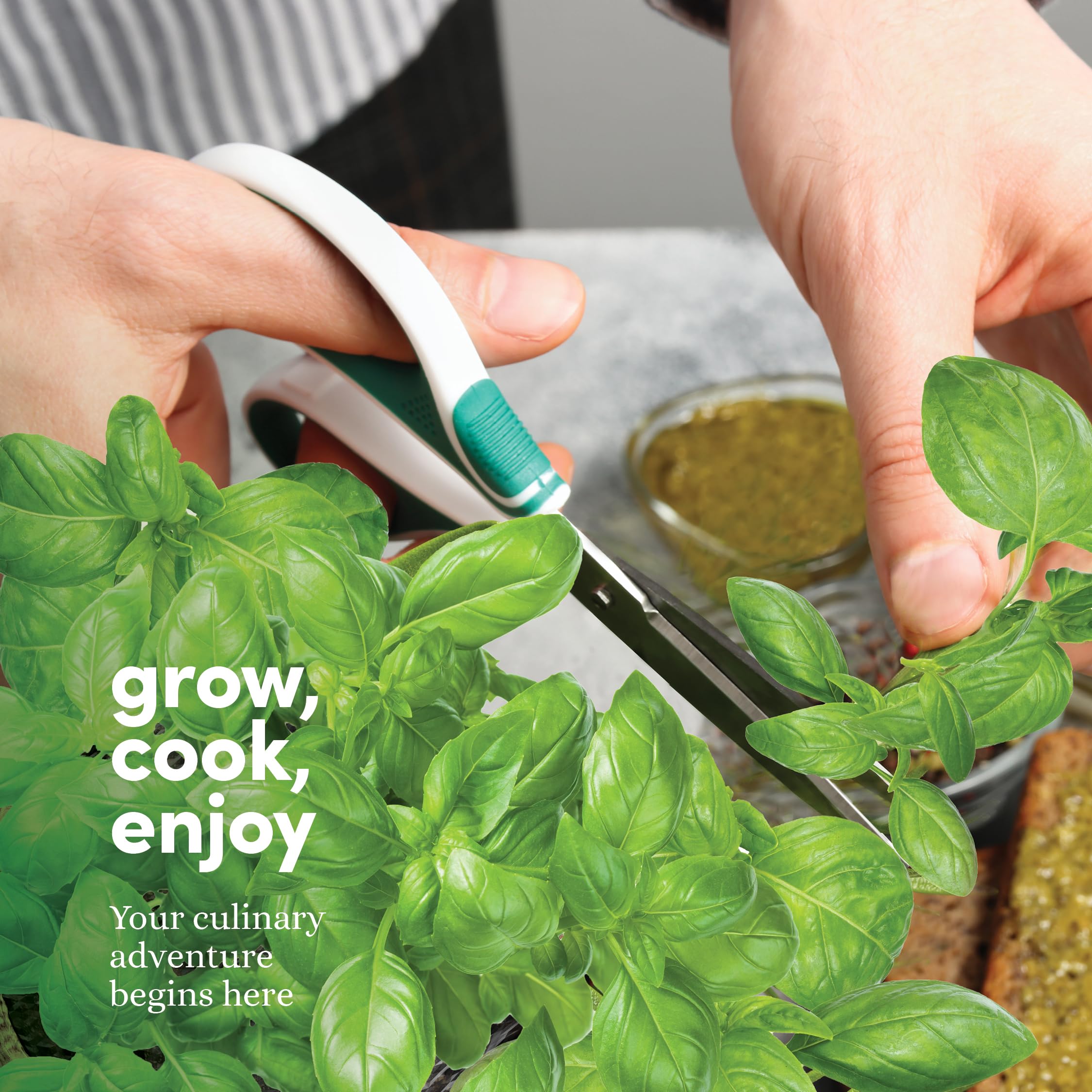 Planters' Choice hierbas en alféizar aportando frescura culinaria al hogar
