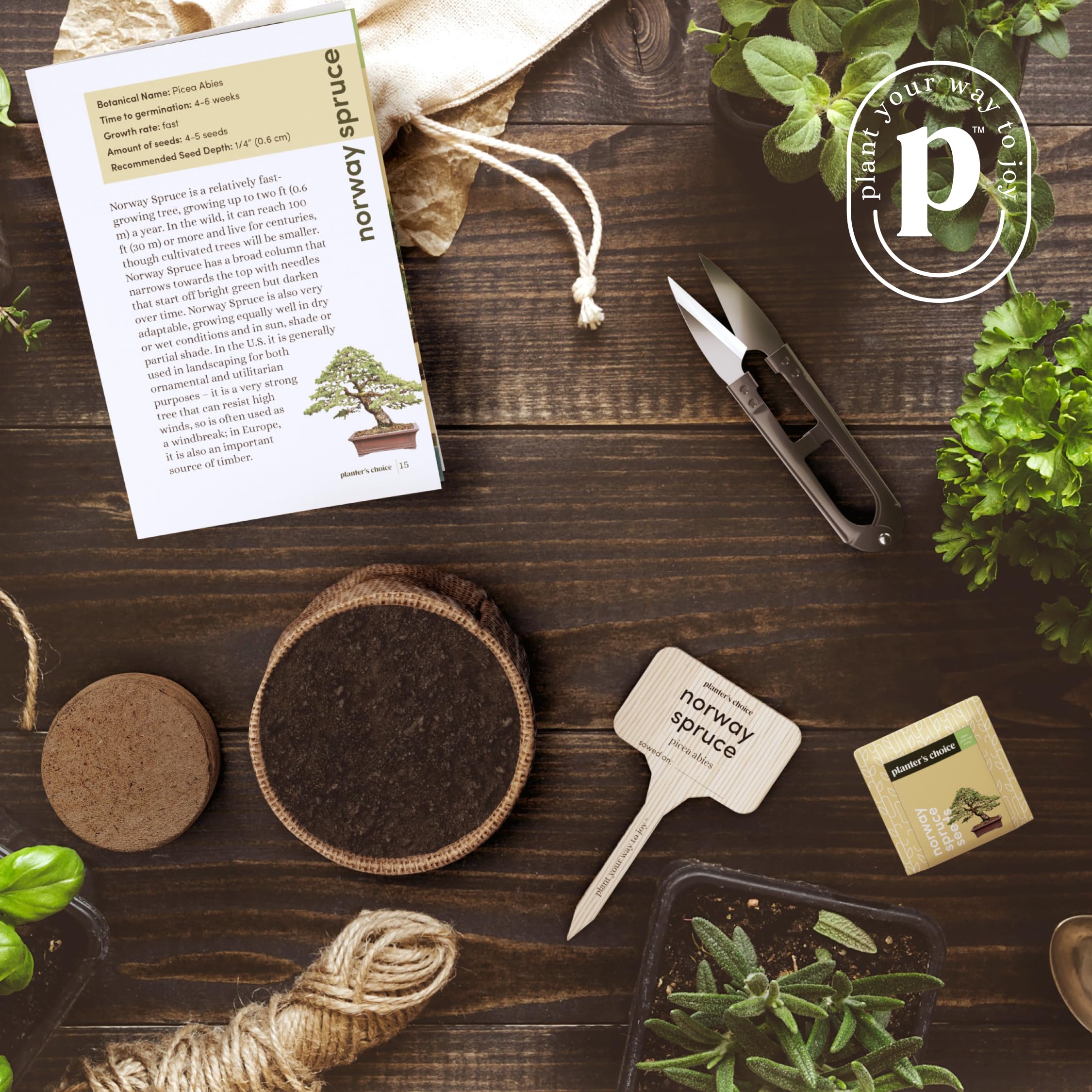 Planters' Choice marcadores de bambú identificando especies para organización clara