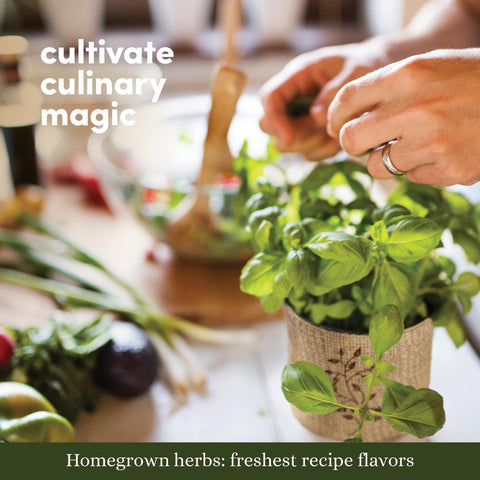 Planters' Choice hojas frescas en cocina mejorando sabor de platos caseros