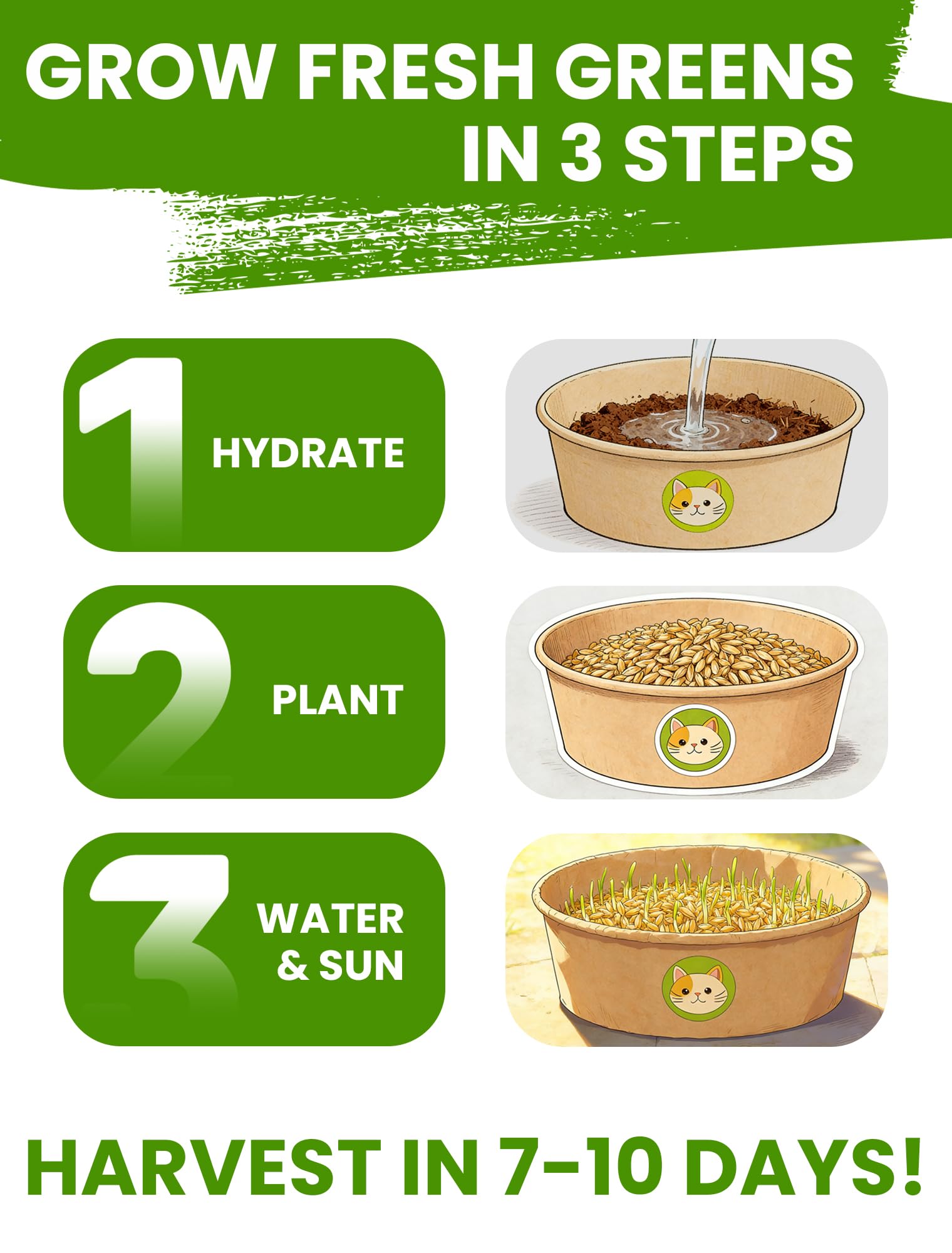 PLANTMEW maceta junto a una regla, comparación de tamaño clara