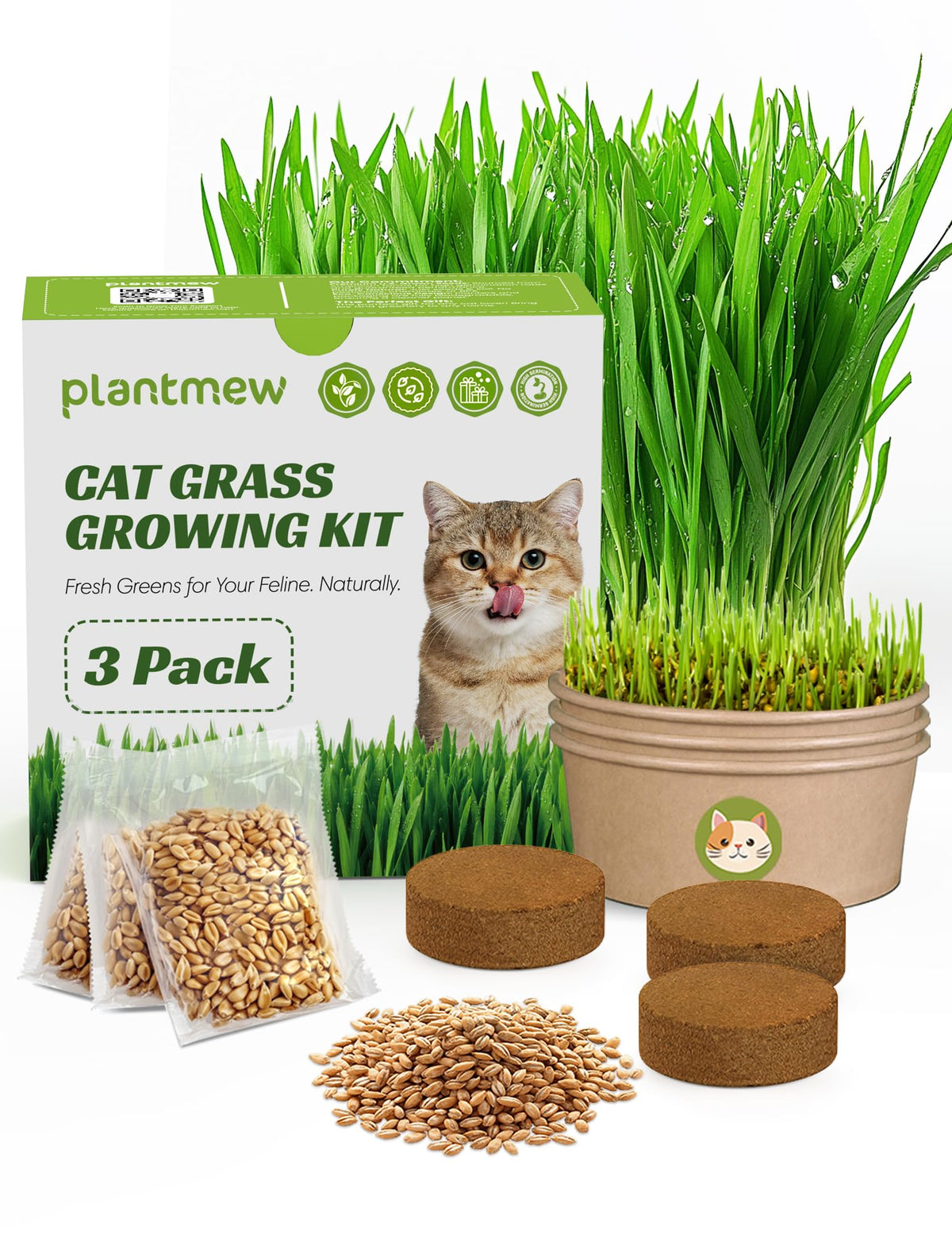PLANTMEW empaque frontal mostrando kit completo y beneficio práctico