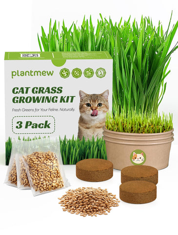 PLANTMEW empaque frontal mostrando kit completo y beneficio práctico