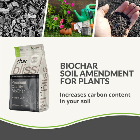 Plantonix Char Bliss textura de partículas que mejora retención de nutrientes