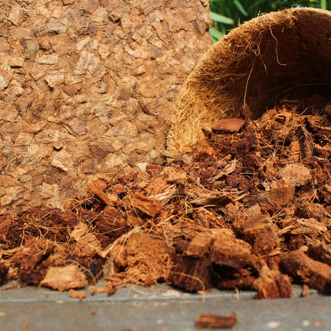 plantonix jardín tropical con mantillo que añade acabado estético profesional