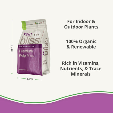 plantonix Kelp Bliss bolsa de 1 lb para comparar tamaño y dosificación
