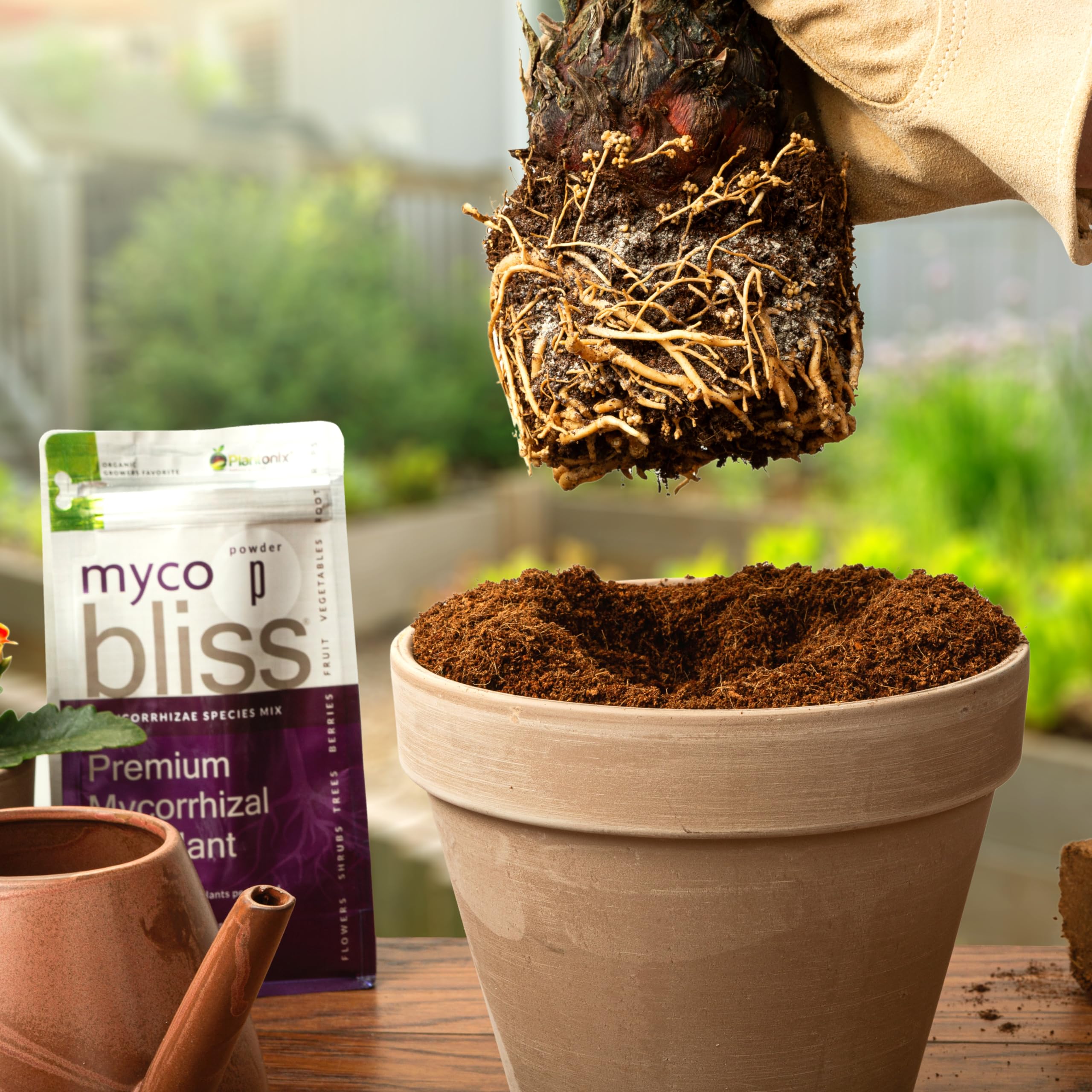 plantonix myco bliss etiqueta y detalle de ingredientes sin sintéticos
