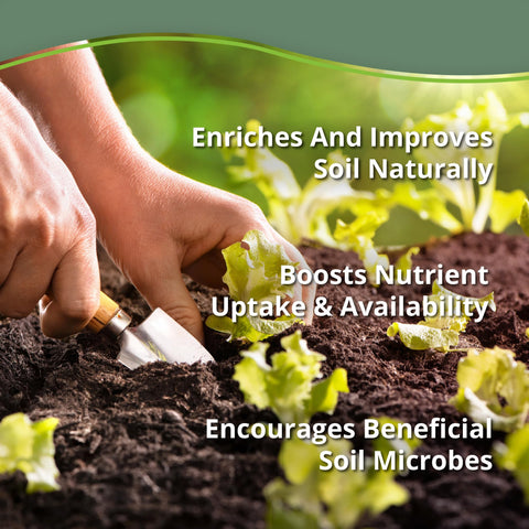 plantonix Neem Bliss etiqueta informativa con instrucciones y composición natural