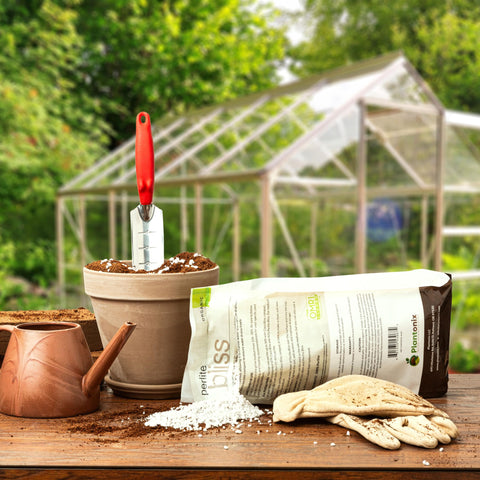 plantonix maceta con plantas vigorosas tras usar perlita