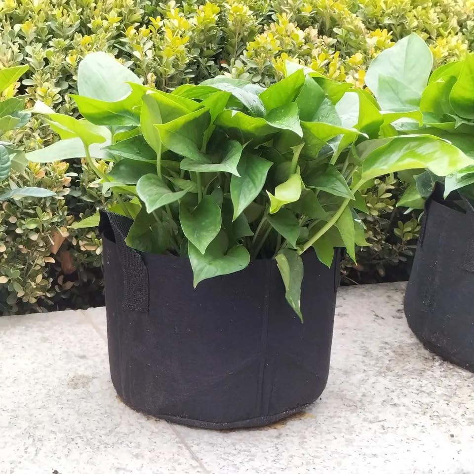 plantonix plantas en interior creciendo en grow bags con mezcla
