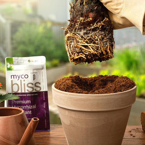 plantonix mezcla de sustrato con Myco Bliss para mejorar absorción y retención