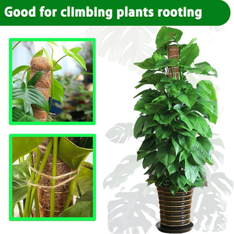 PLANTPOLEX apilado hasta 69 pulgadas para comparar altura y soporte escalable