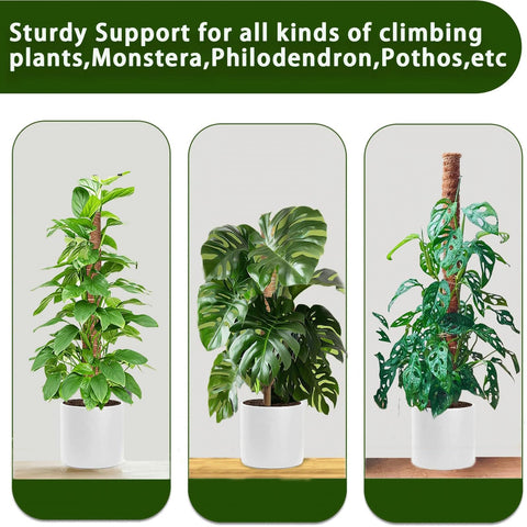 PLANTPOLEX kit con cuerdas de yute y velcro para fijar tallos y ajustar sujeción