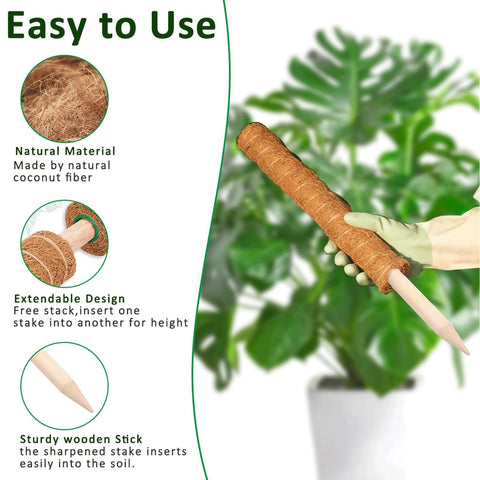 PLANTPOLEX poste en uso con Monstera mostrando crecimiento vertical controlado