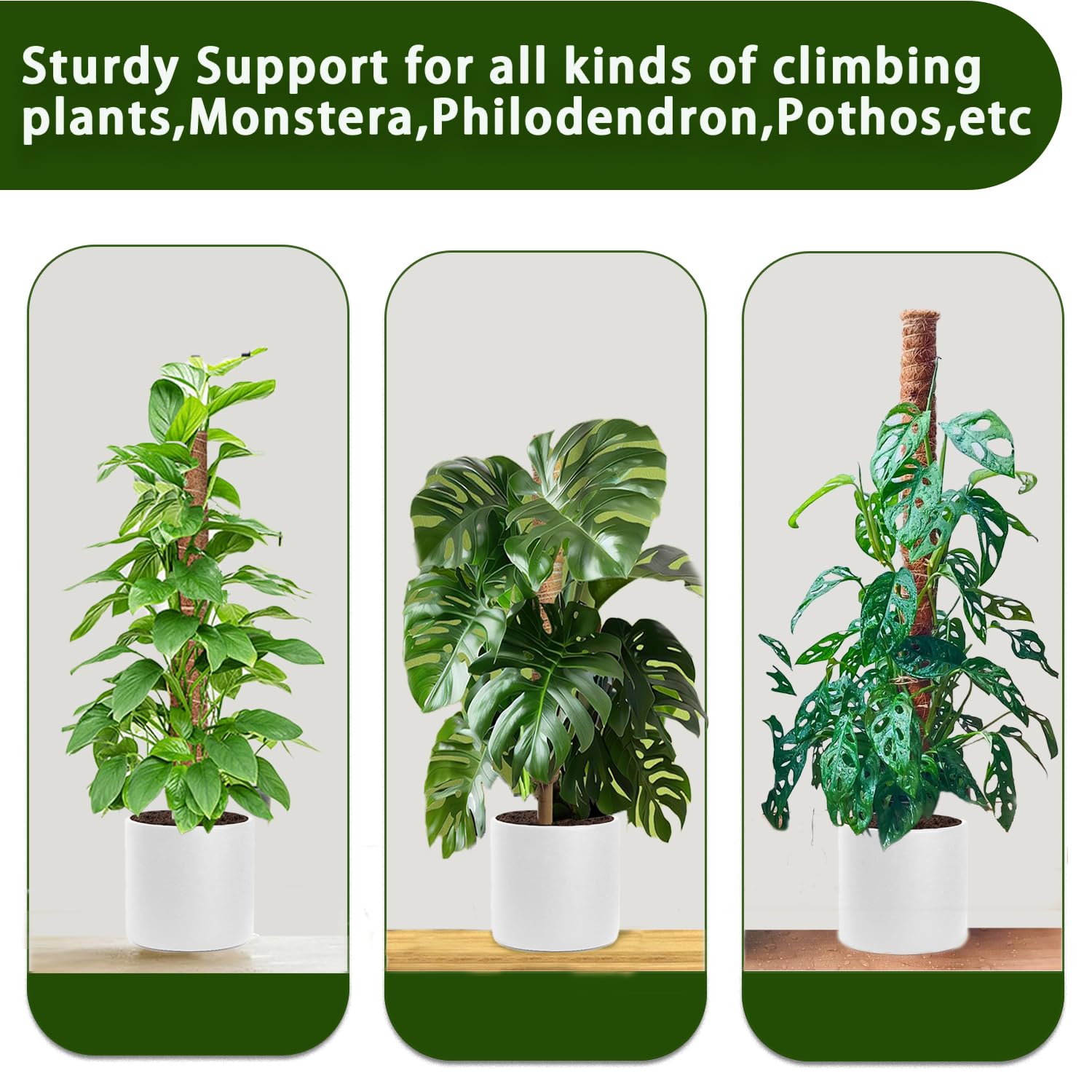 PLANTPOLEX accesorios incluidos velcro y cuerdas de yute para sujeción segura