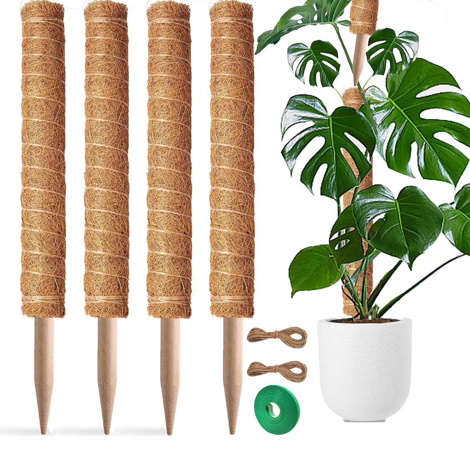 PLANTPOLEX poste musgo frontal mostrando superficie de fibra de coco y soporte