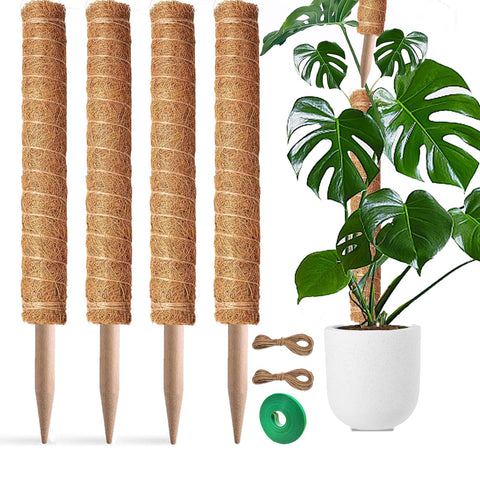 PLANTPOLEX poste musgo frontal mostrando superficie de fibra de coco y soporte