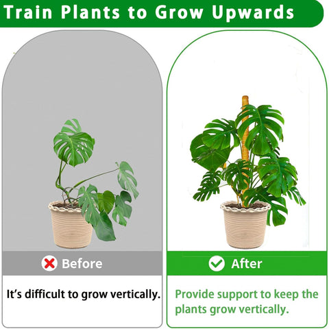 PLANTPOLEX corte transversal mostrando núcleo PVC y varilla de madera resistente