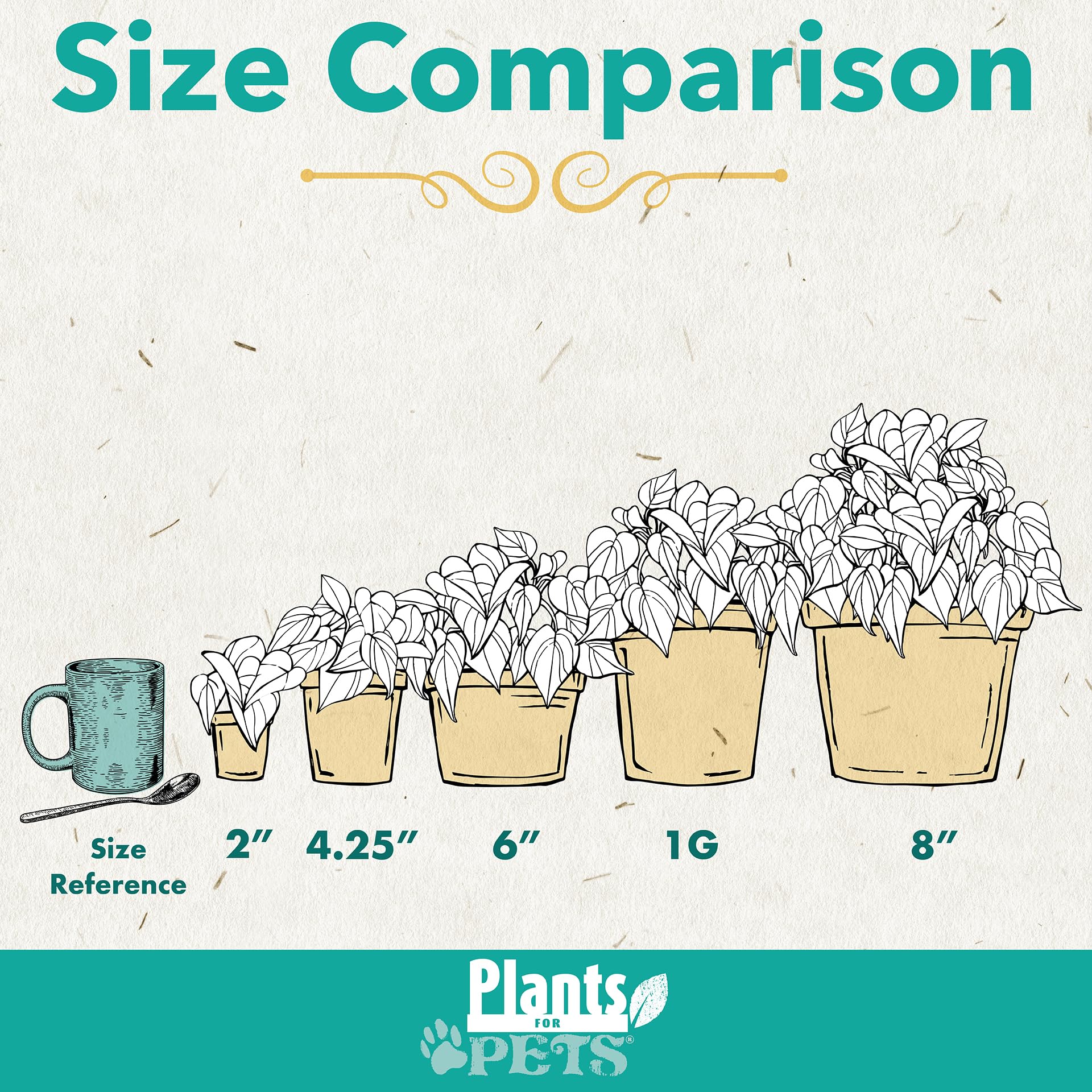 Plants for Pets close-up de hojas de pothos con variegado, resalta textura y belleza