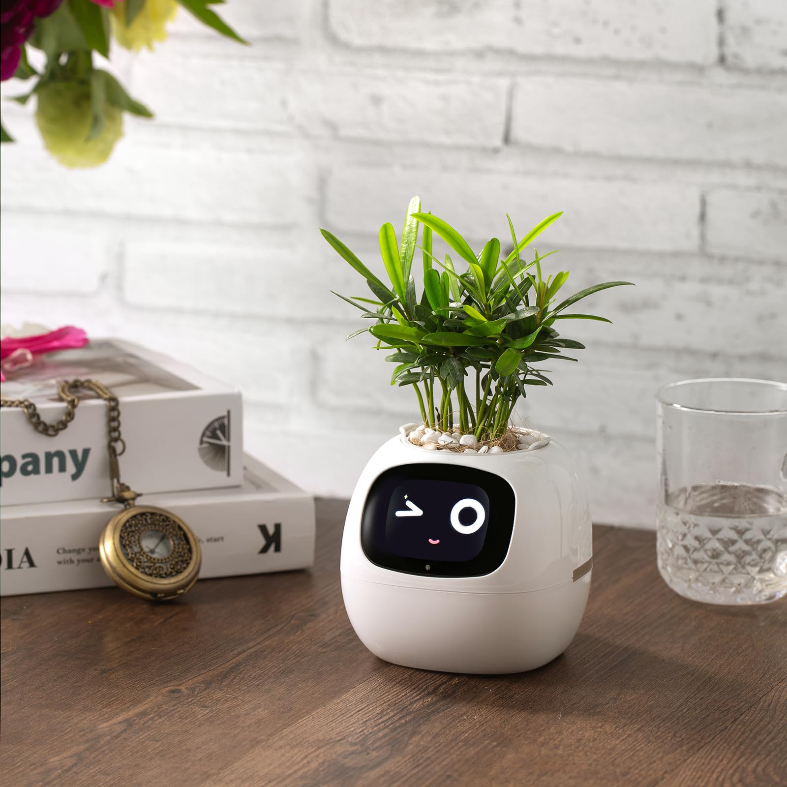 PLANTSIO pantalla con emoticonos que indica estado de planta y facilita seguimiento