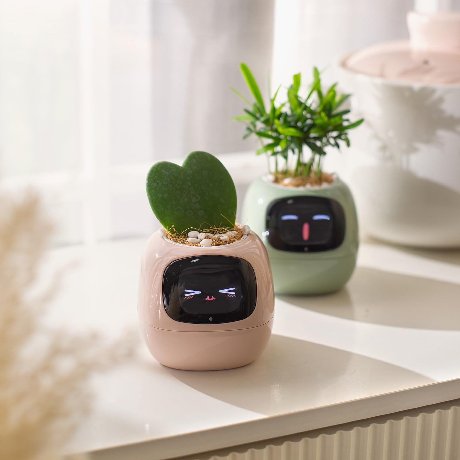 PLANTSIO pantalla con expresiones amigables para orientar el cuidado rápido