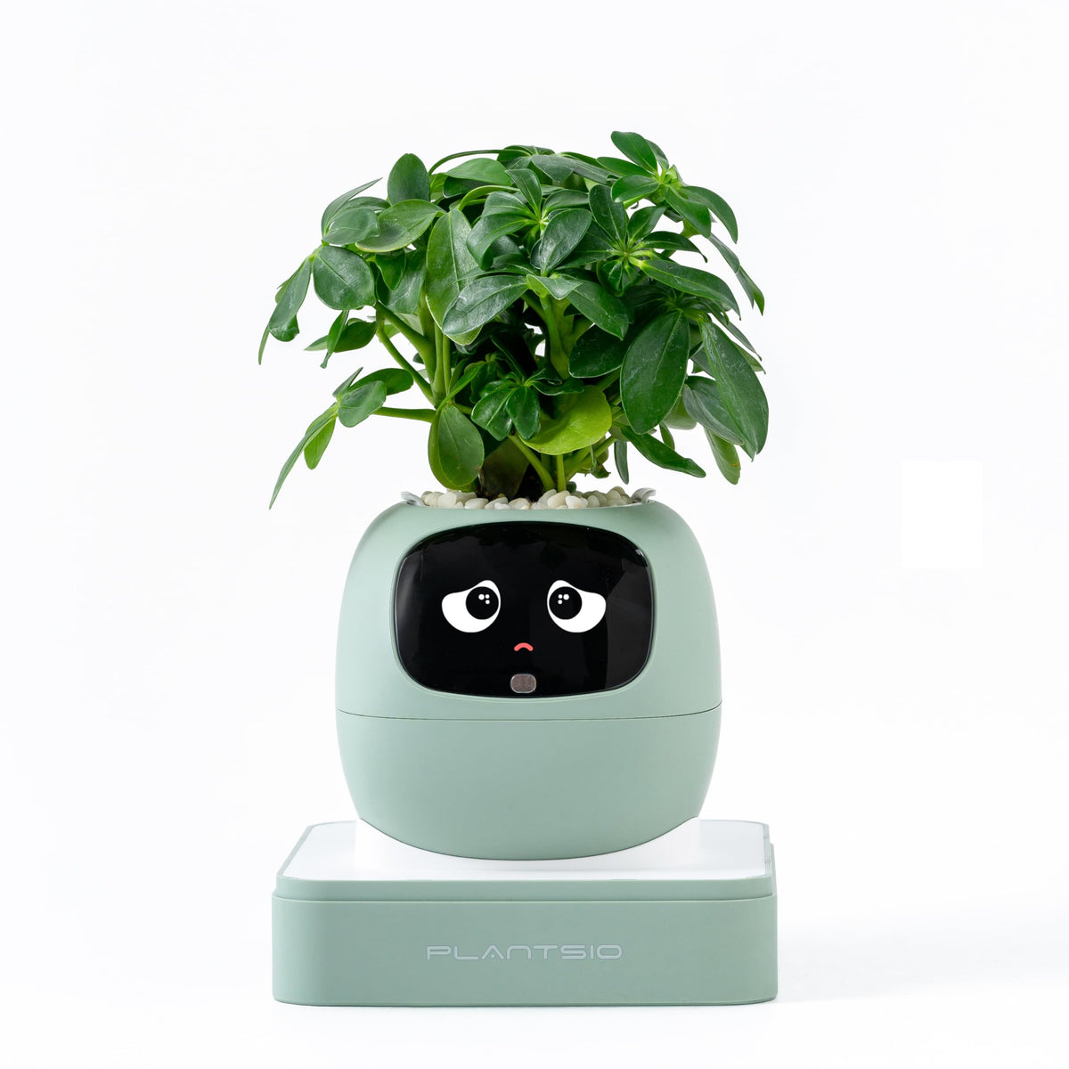 PLANTSIO vista frontal de la maceta inteligente, diseño moderno y funcional