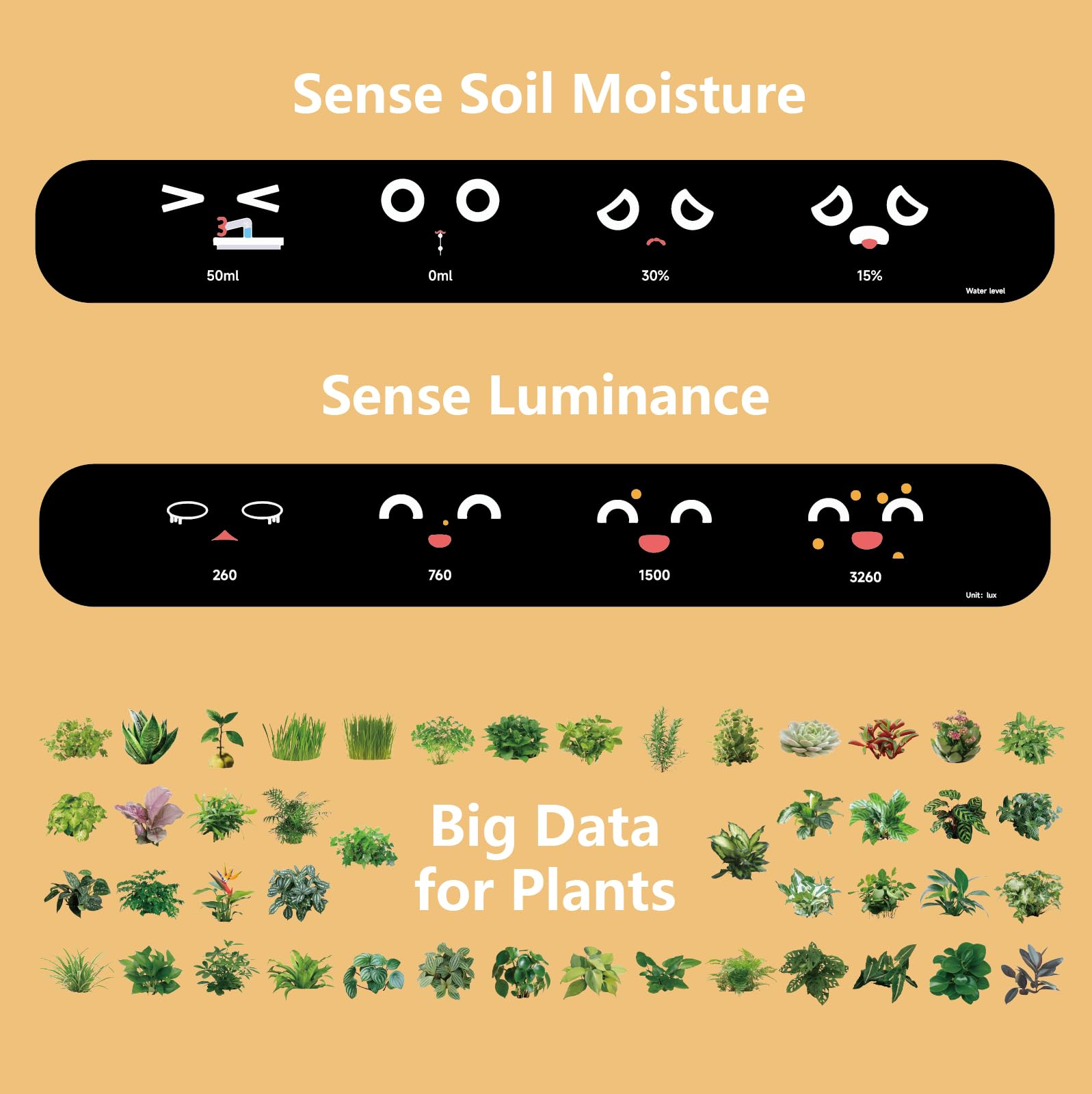 PLANTSIO con iluminación ambiental que mejora ambiente y estilo