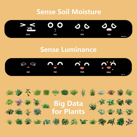 PLANTSIO con iluminación ambiental que mejora ambiente y estilo