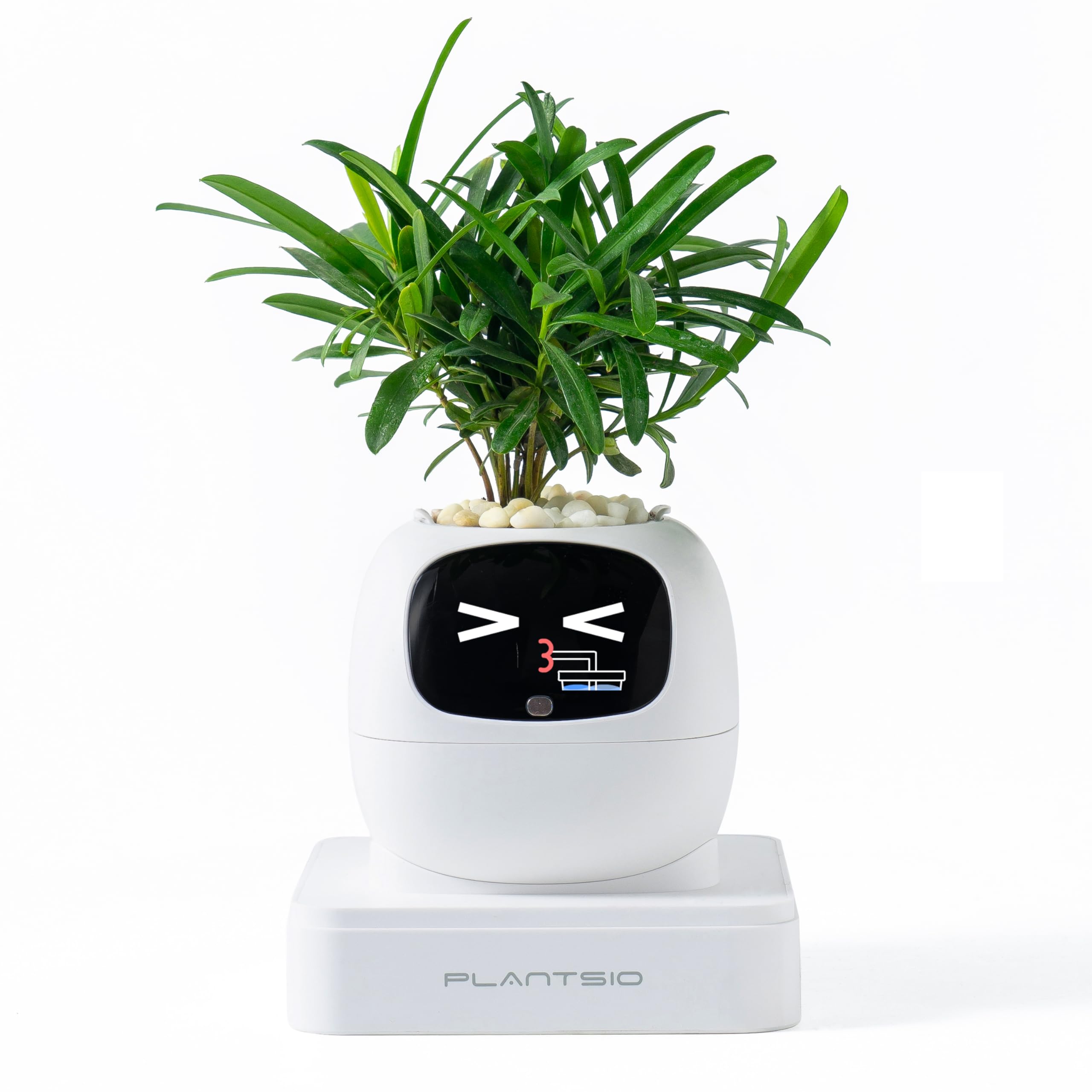 PLANTSIO maceta inteligente frontal mostrando diseño minimalista y beneficio decorativo