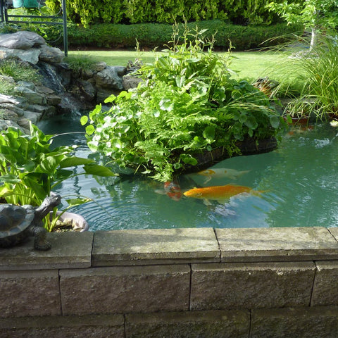 Pond Armor estanque acabado transparente sin pliegues, aspecto natural