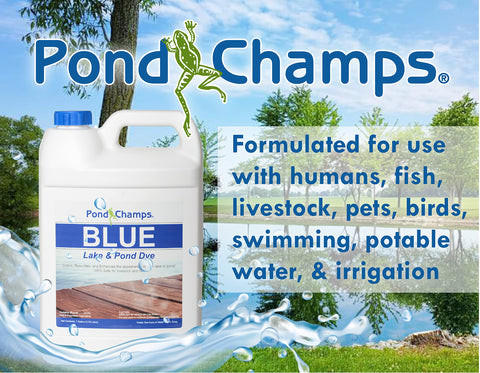 Pond Champs galón junto a una regla para ver proporción y dosificación
