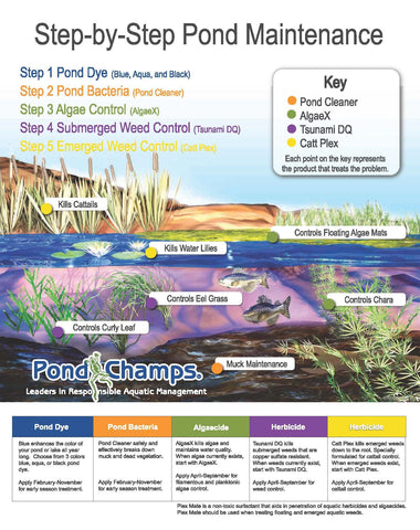 Pond Champs tinte diluyéndose en agua logrando color homogéneo