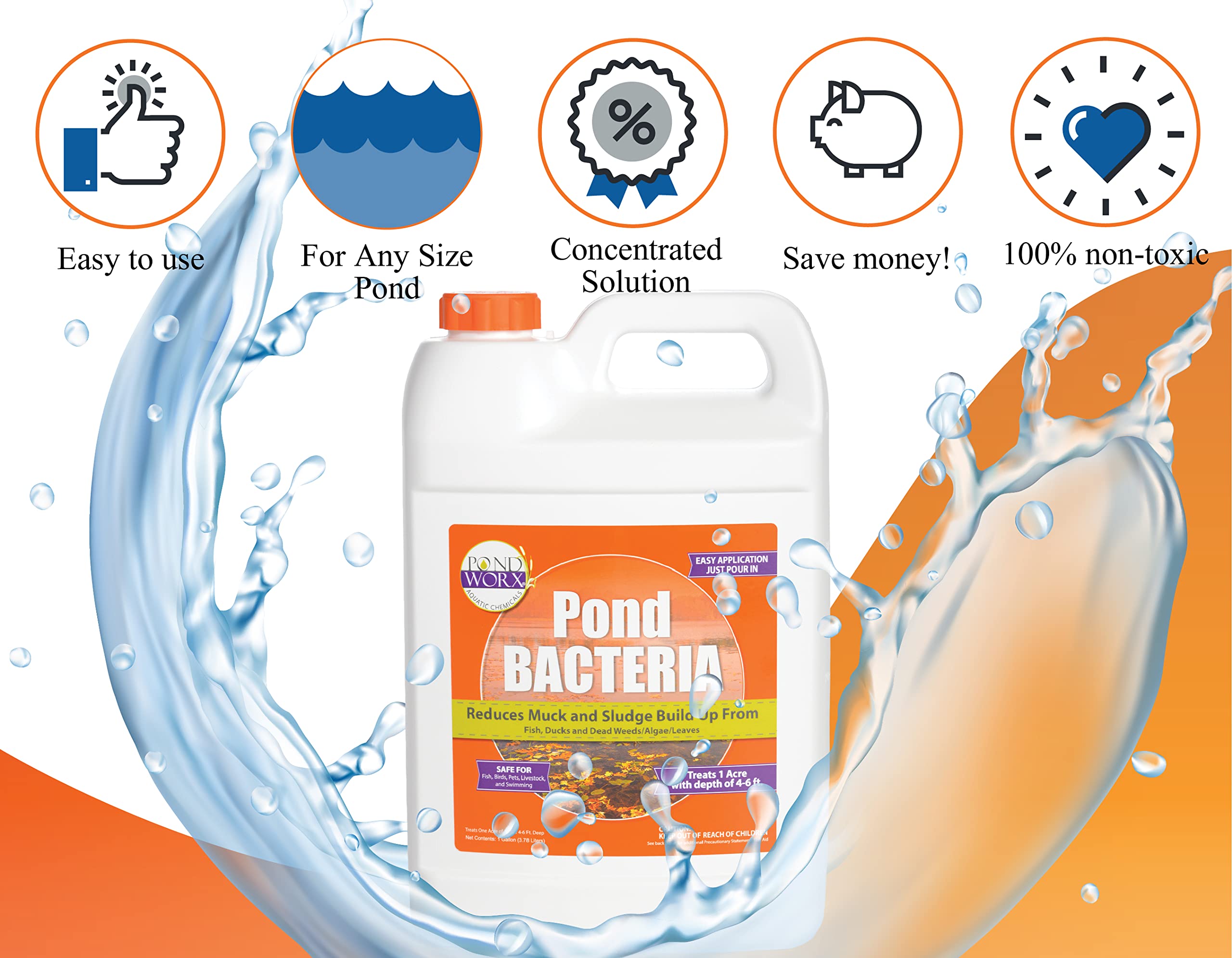 PondWorx galón junto a una regla para mostrar tamaño y dosificación