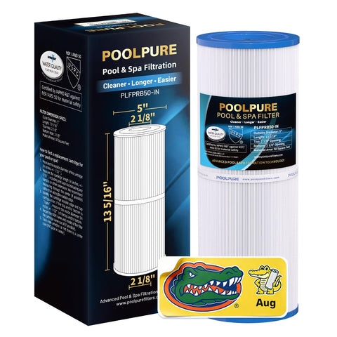 POOLPURE filtro frontal mostrando la forma y ajuste compatible