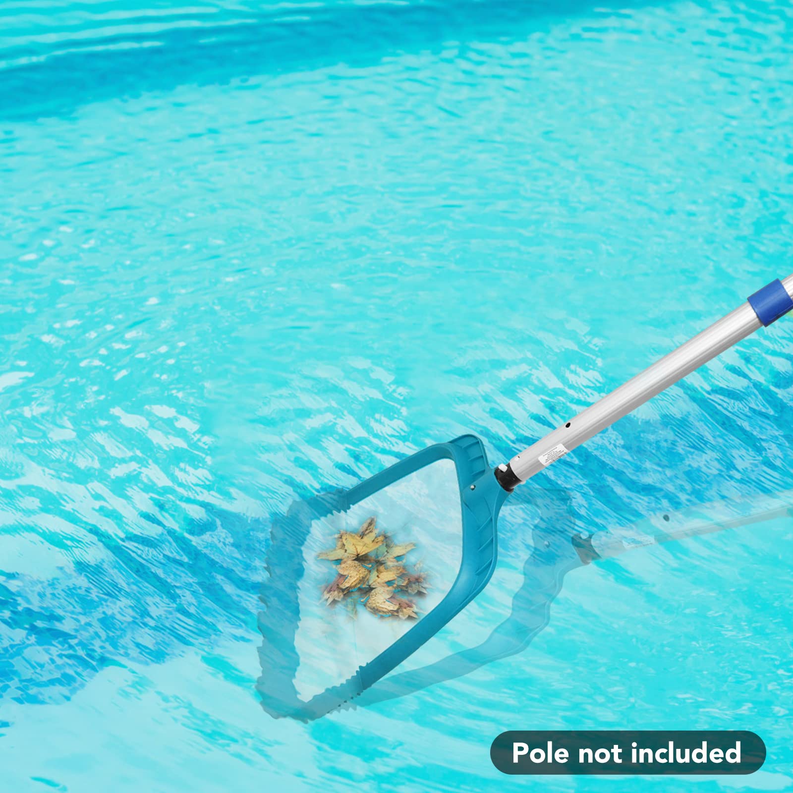 POOLWHALE escena familiar junto a piscina mostrando uso cotidiano