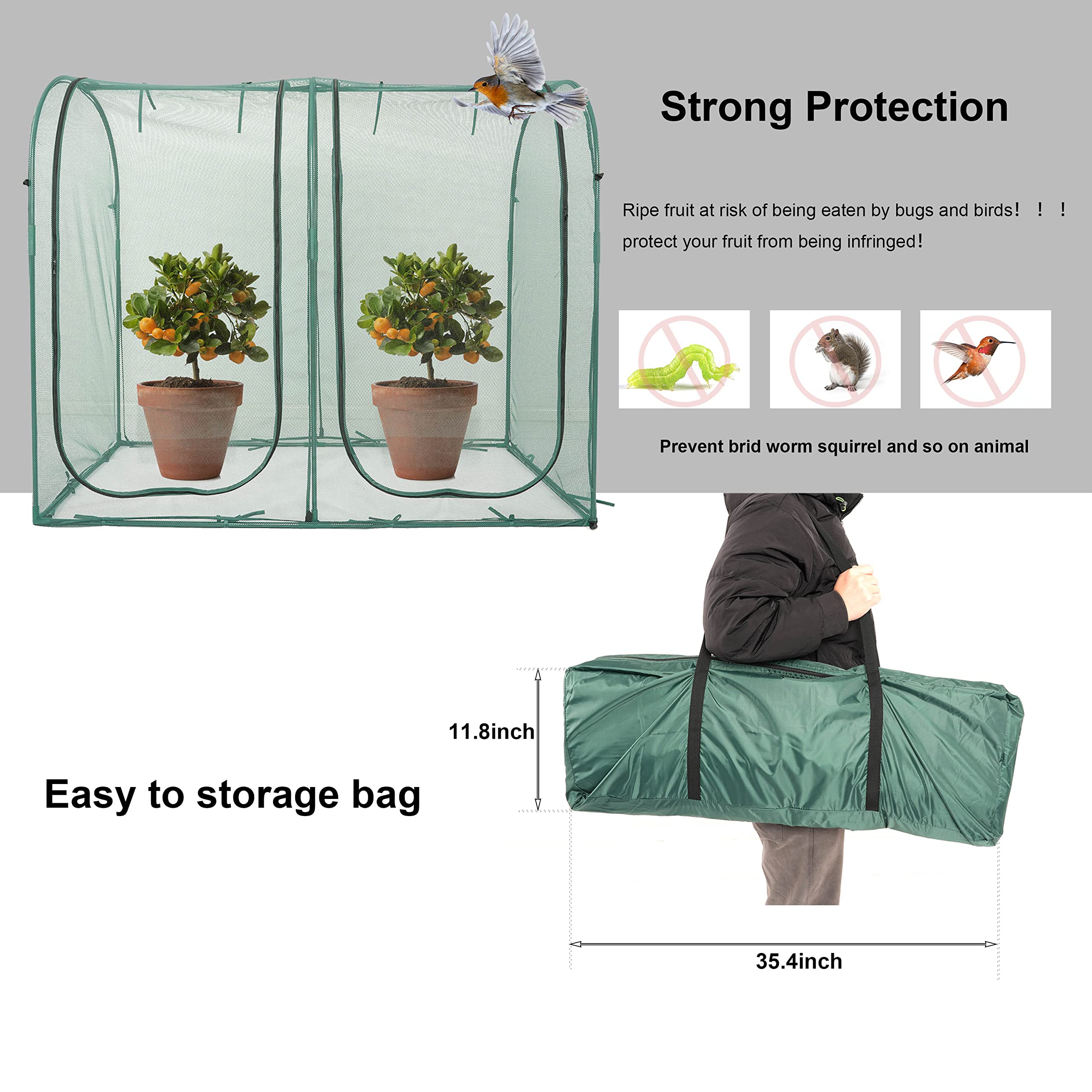 porayhut interior con plantas de tomate protegido y sano