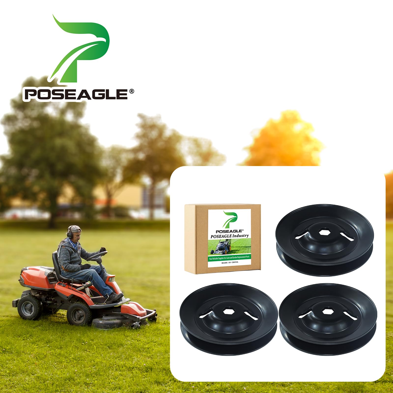 POSEAGLE polea GX20335 detalle superficie de acero resistente a corrosión