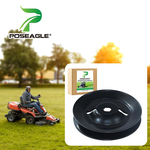 POSEAGLE polea GX20335 primer plano de superficie que resiste corrosión y desgaste