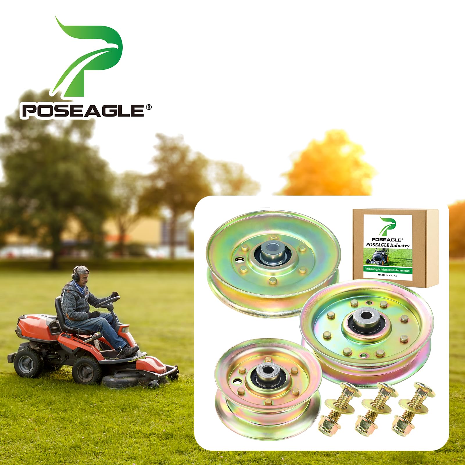 POSEAGLE polea 532175820 detalle frontal, reemplazo exacto