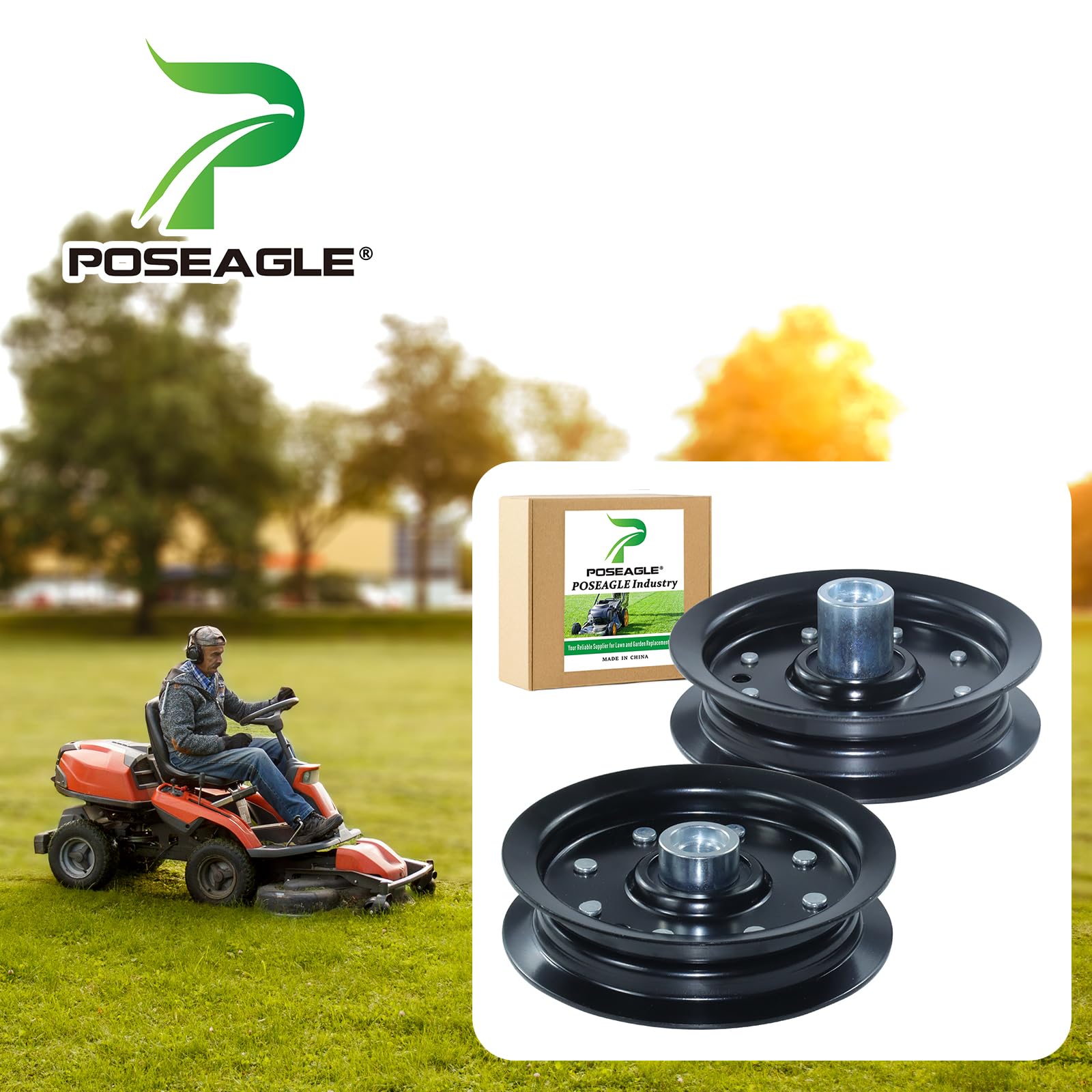 POSEAGLE polea 604219 vista frontal, ajuste preciso