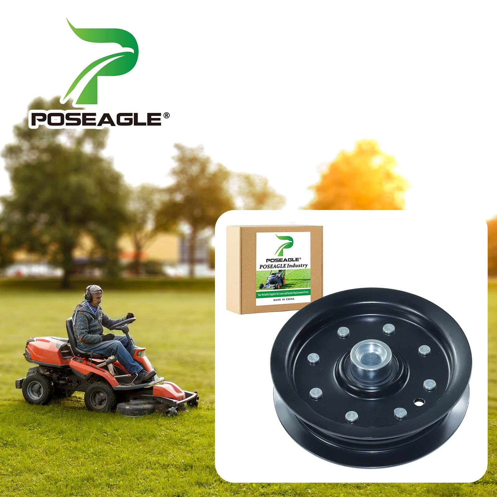 POSEAGLE polea detalle de superficie de acero resistente a la corrosión