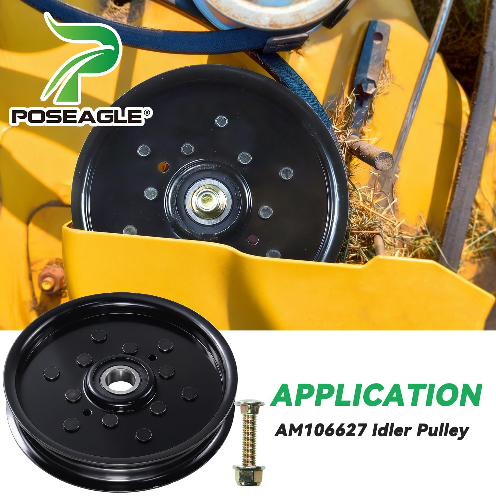 POSEAGLE detalle del acero y recubrimiento anticorrosión para uso exterior